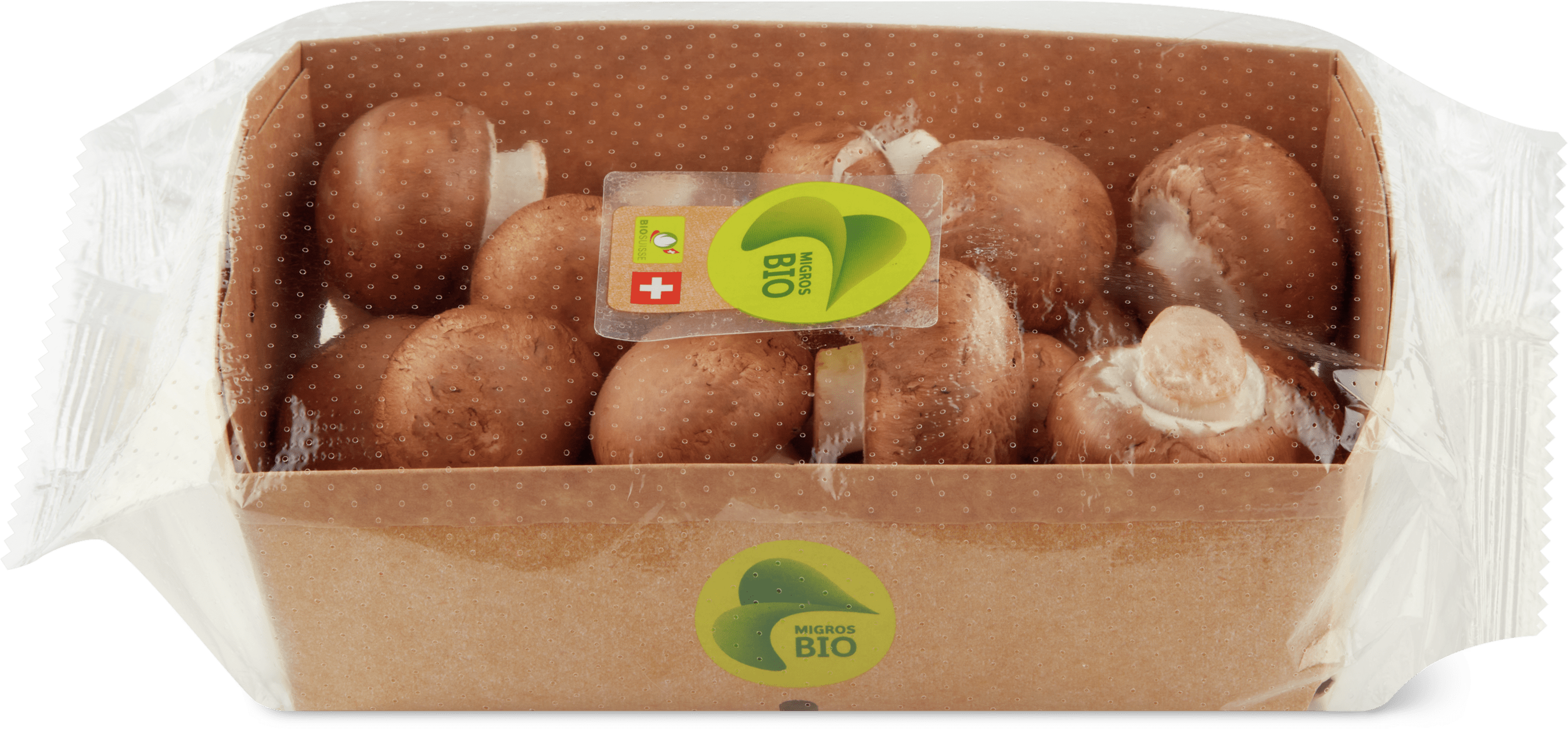 Champignons Bio, braun