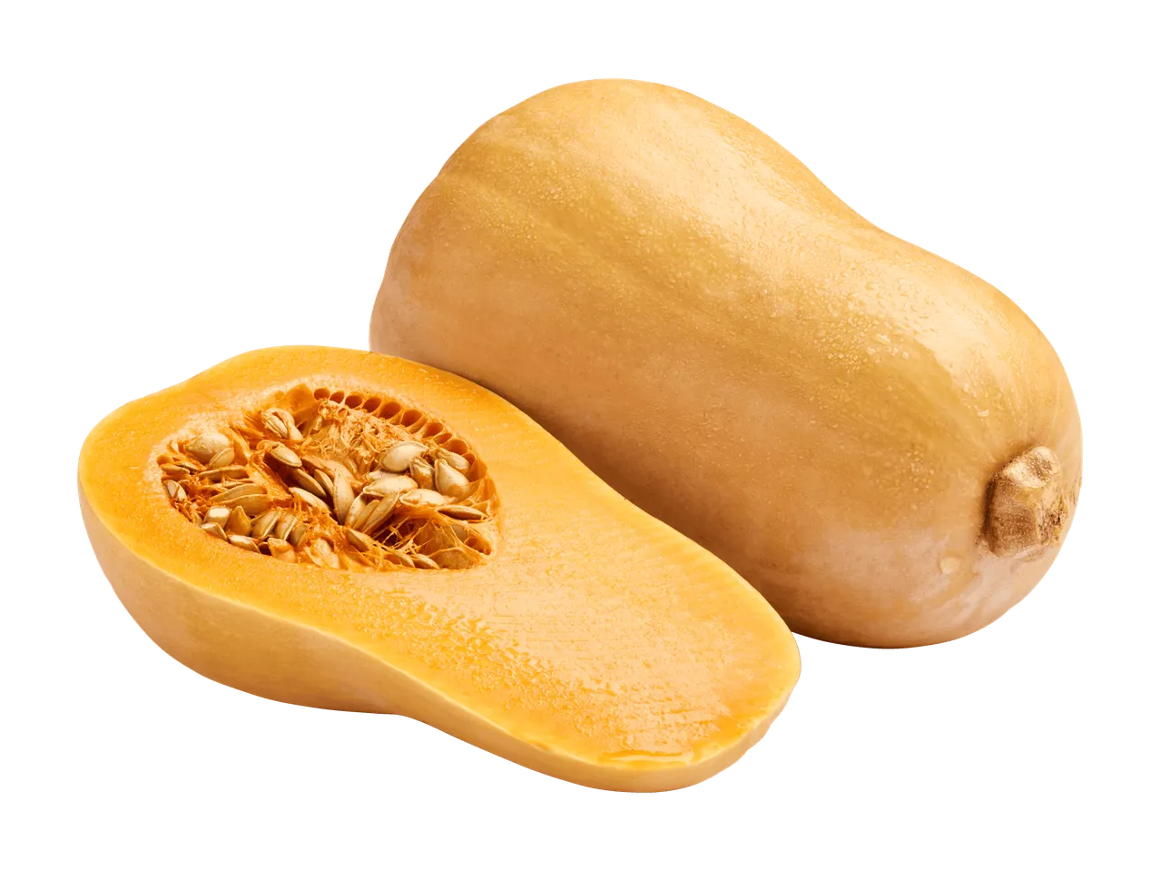 Bio Speisekürbis Butternuss aus Österreich