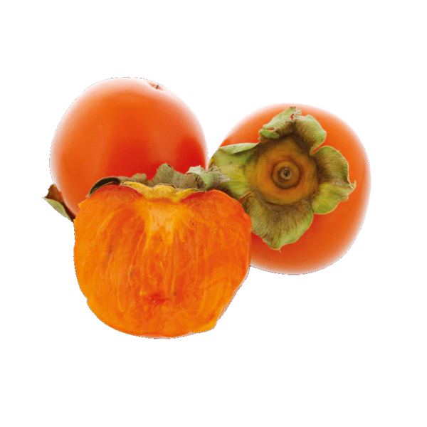 Kaki Mini Tomatero