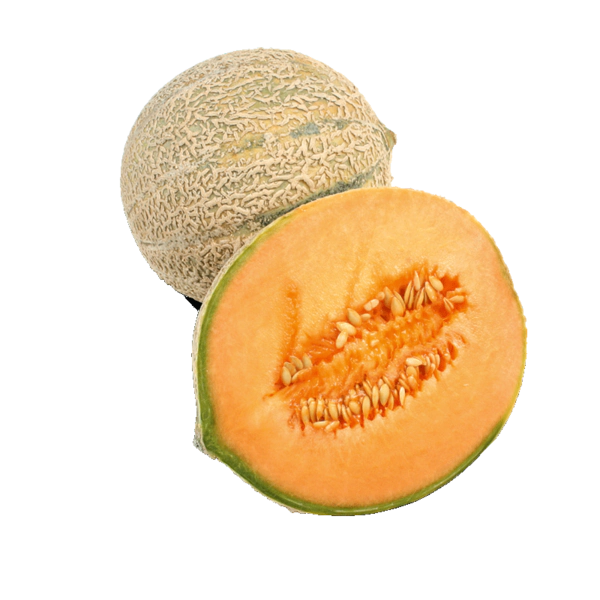 Netzmelonen